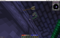 Bug omg.png