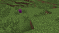 2012-05-27 04.54.05.png