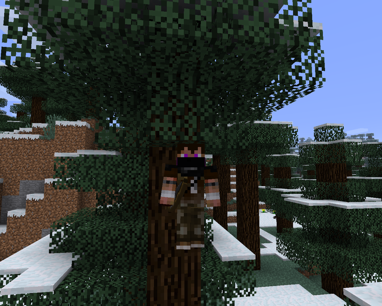 File:RangerClimb.png