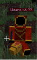 Rider.png